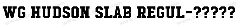 WG Hudson Slab Regul字体转换